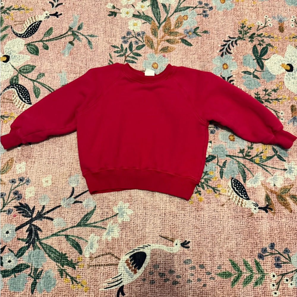 Zara Kids Red Sweatshirt